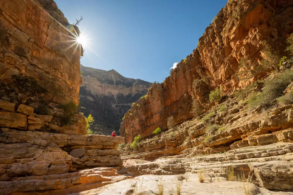 Paradise Valley