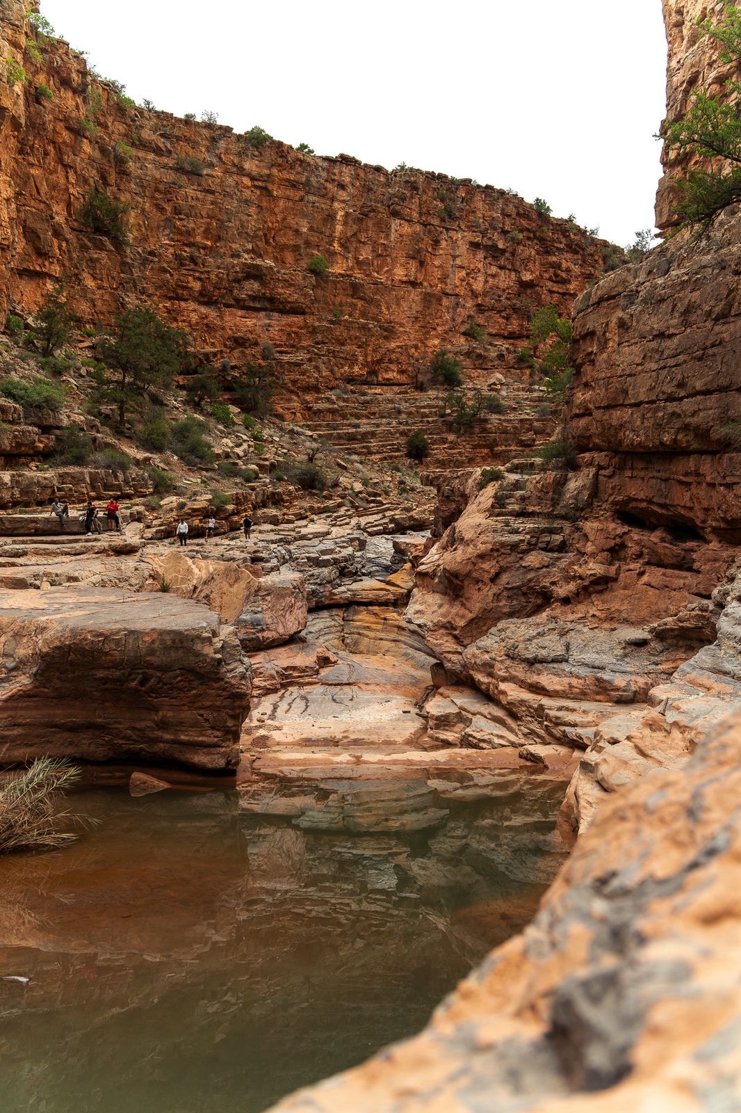 Paradise Valley